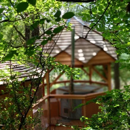 Lodge Les De